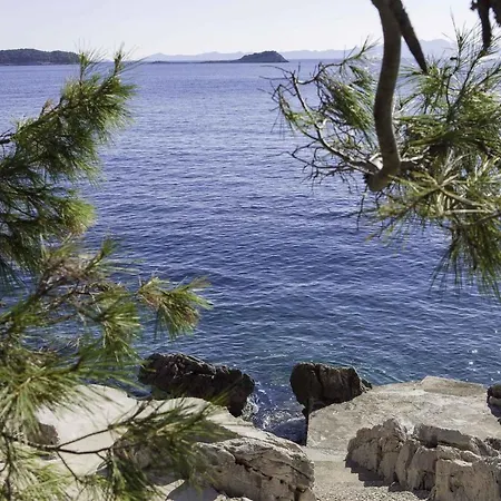 In - Insel Korcula 6393 * 普瑞兹巴