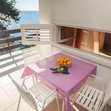In - Insel Korcula 6393 Apartment Prizba